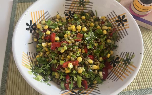 salata-1