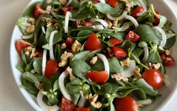 Ege Usulü Semizotu Salatası Tarifi