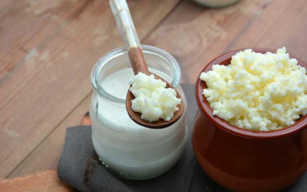 Kefir mayası nasıl yapılır?