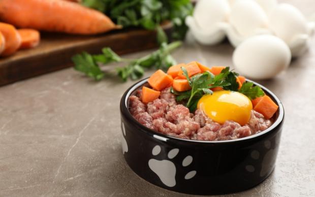 Ev Yapımı Köpek Maması