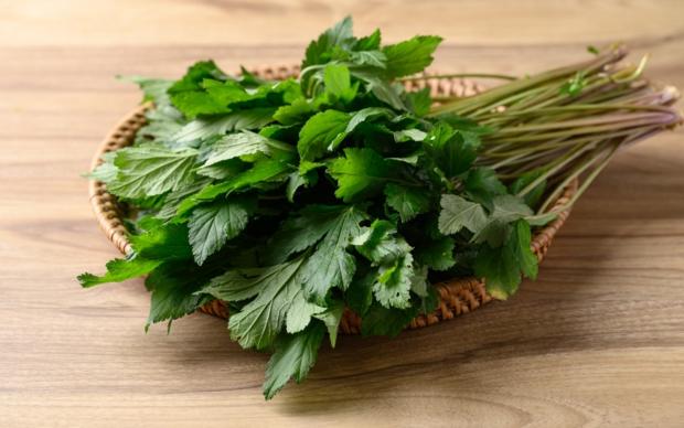 Yavşan Otu