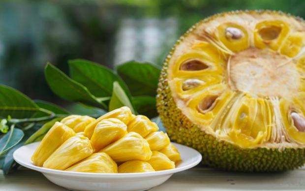 Jack Fruit