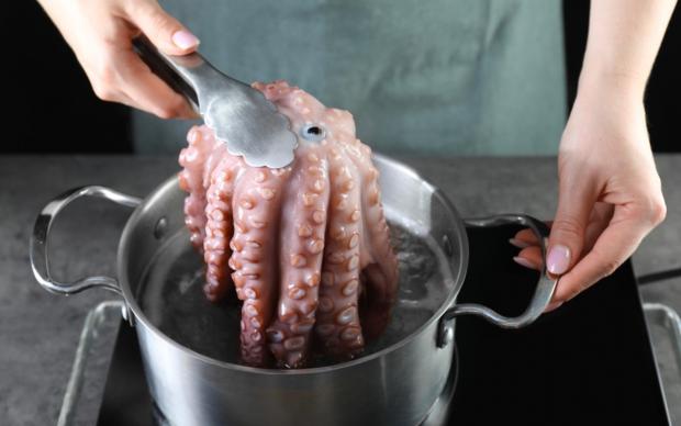 Ahtapot
