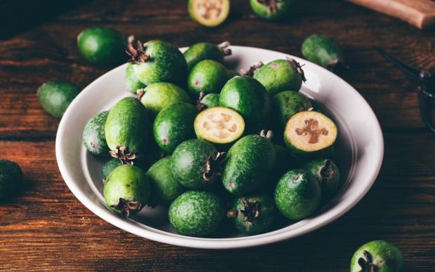 Feijoa