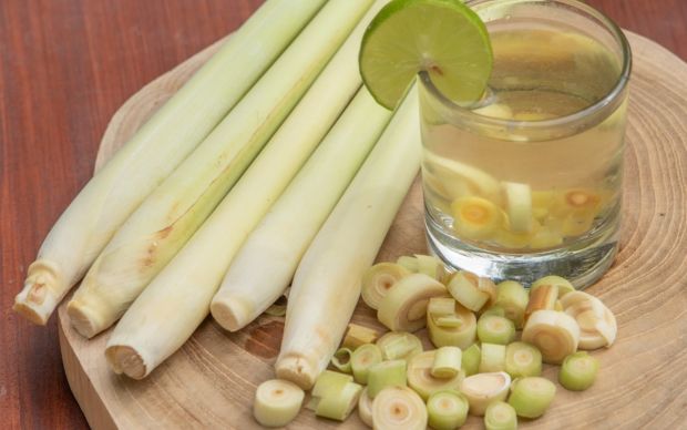Limon Otu