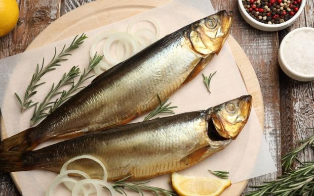Ringa Balığı