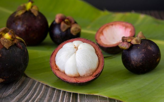 Mangosten