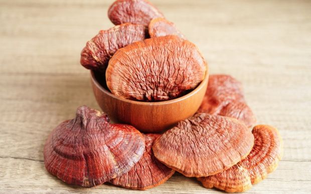 Reishi Mantarı