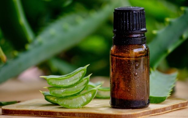 Aloe Vera Yağı