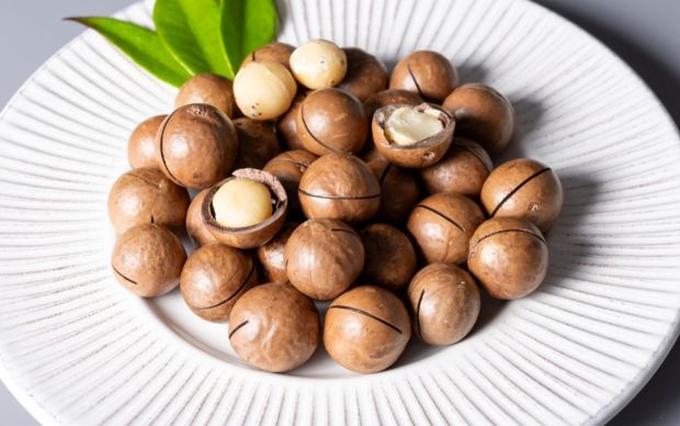 Macademia Fındığı