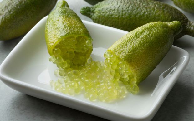 Finger Lime