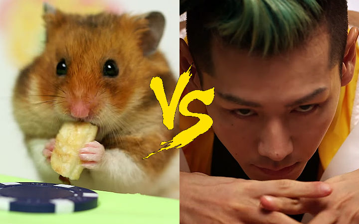 hamster-vs-kobayashi-durum-yeme