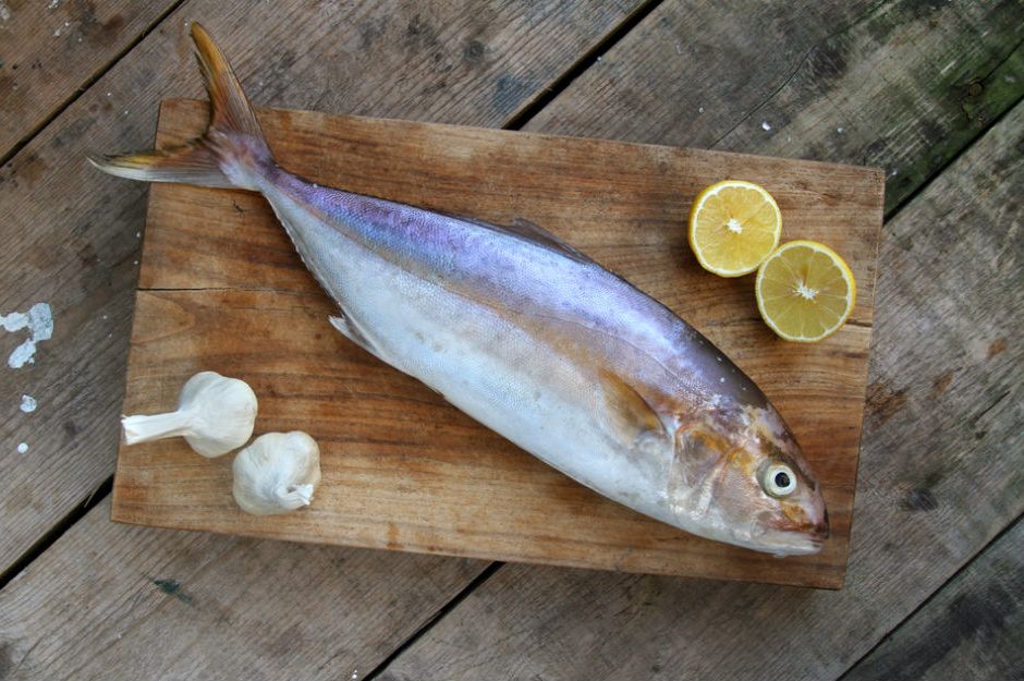 Akya Balığı - Yemek.com