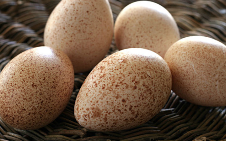 Hindi Yumurtası - Yemek.com