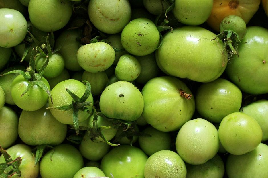 Armut nasıl yenildiğini öğrenmek Armut nasıl yenildiğini öğrenmek