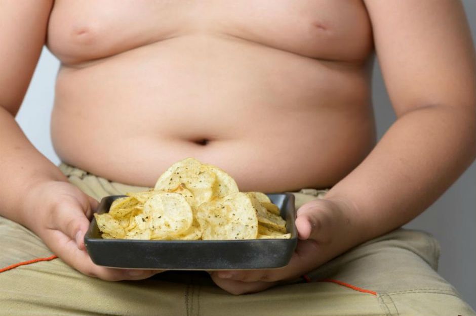 http://www.downtoearth.org.in/news/india-has-the-second-higest-number-of-obese-children-in-the-world-58115 | downtoearth