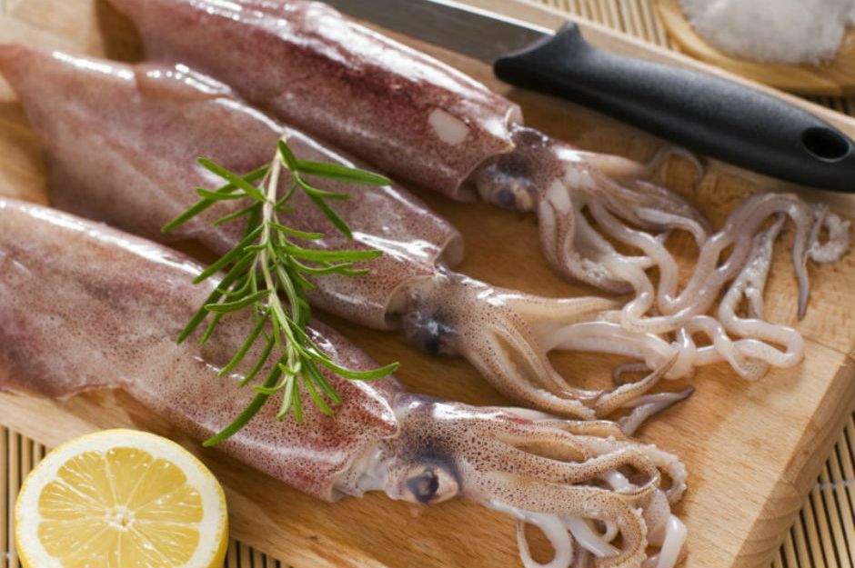 https://freshfoodexpress.co.uk/fish-and-seafood-from-scotland-online/seafood-online/scottish-fresh-squid-online/ | freshfoodexpress
