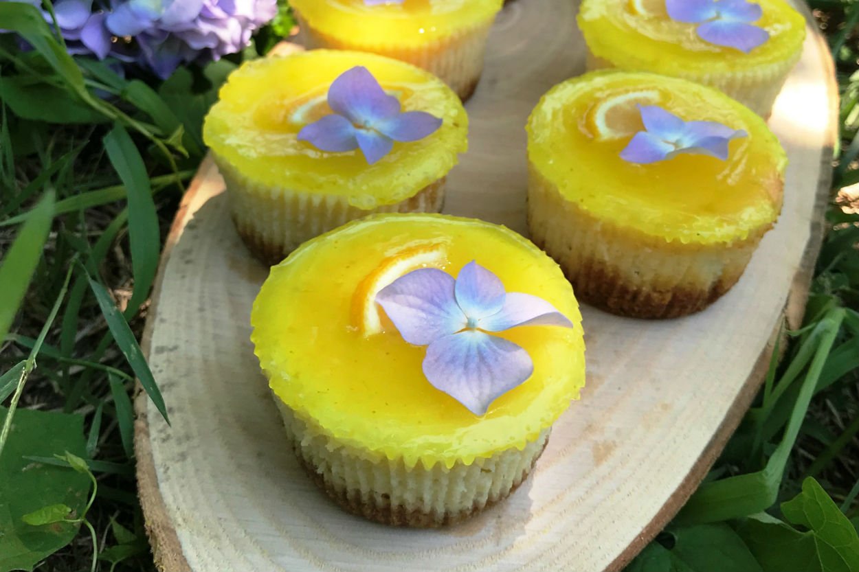 porsiyonluk-limonlu-cheesecake-tarifi