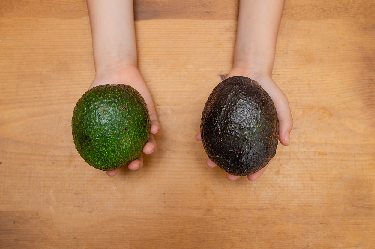 Child's hand holding green avocado and black avocado