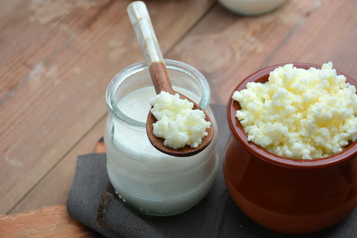 Kefir mayası nasıl yapılır?