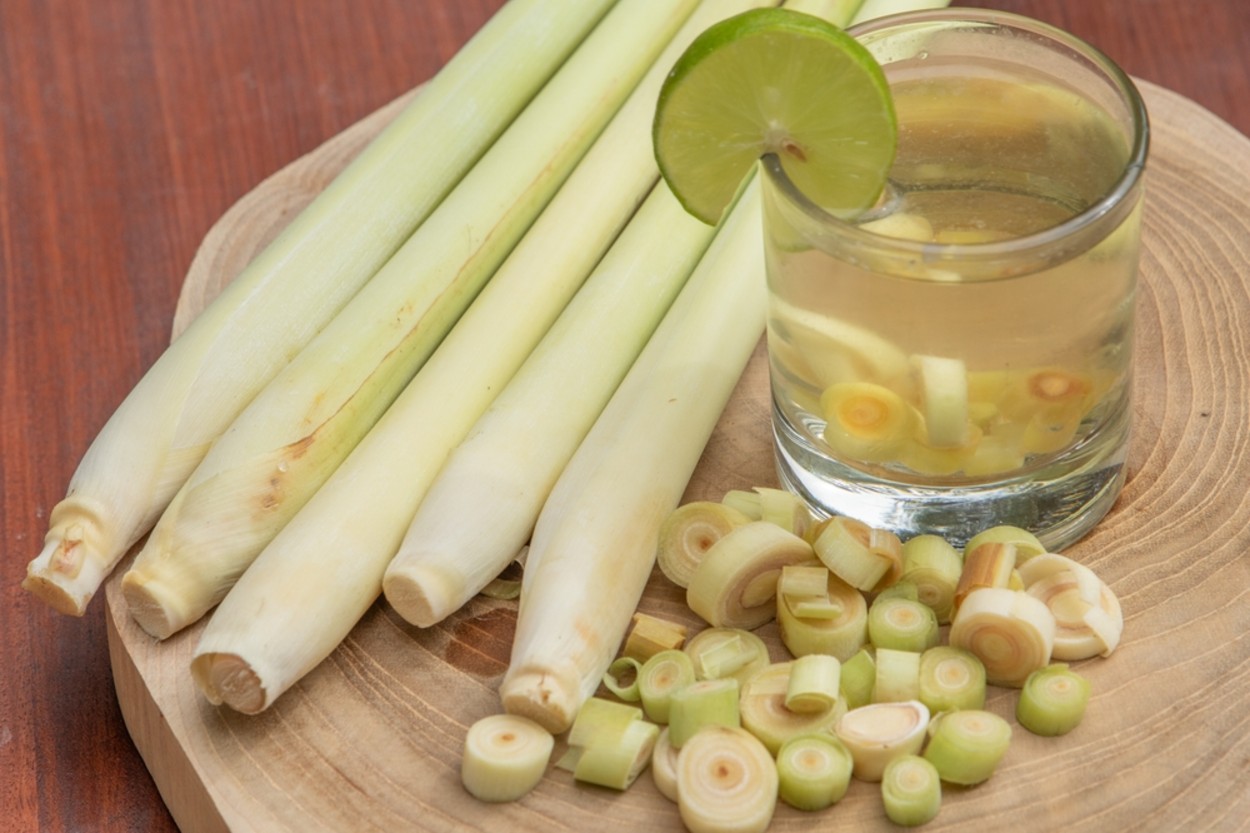 Limon Otu