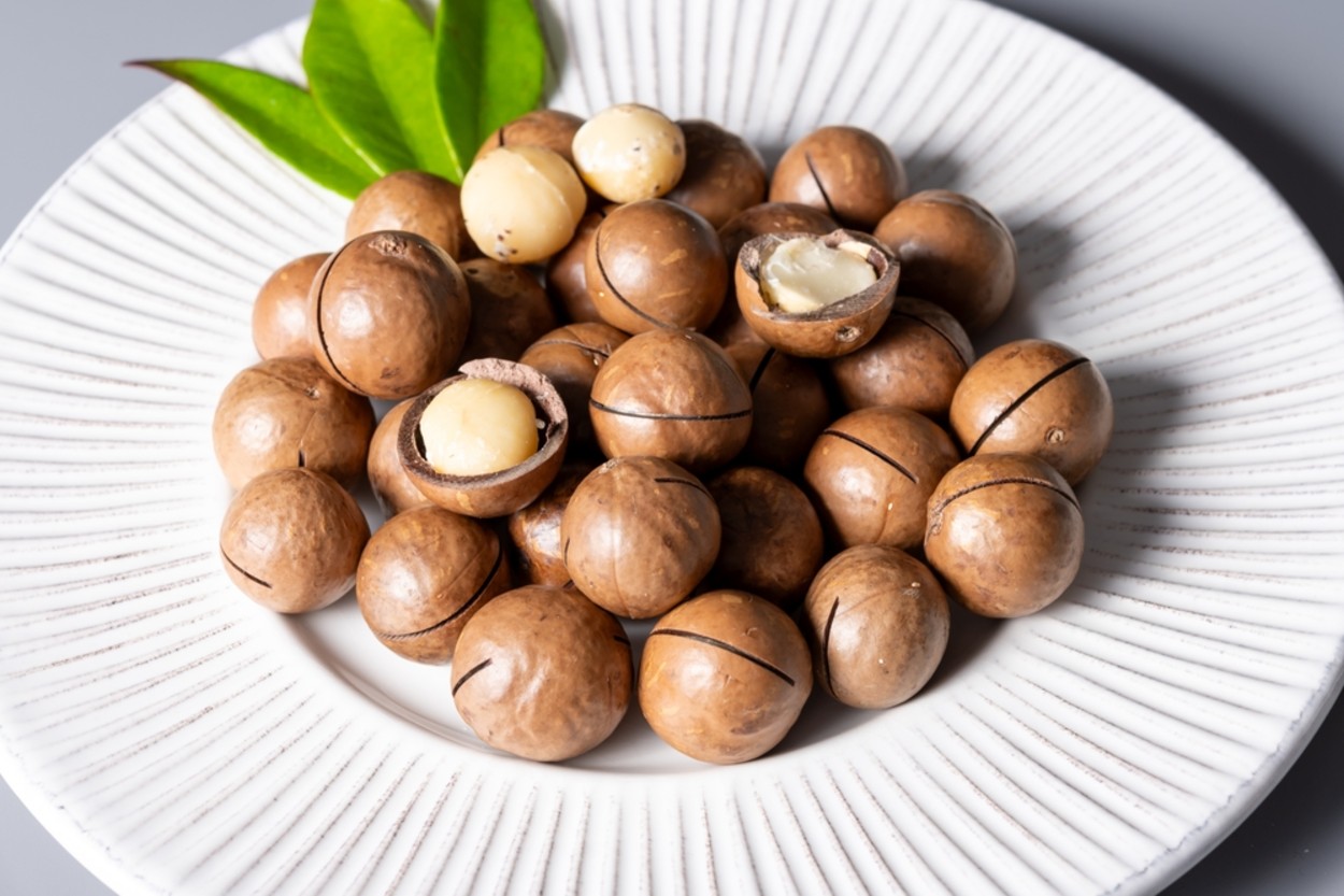 Macademia Fındığı