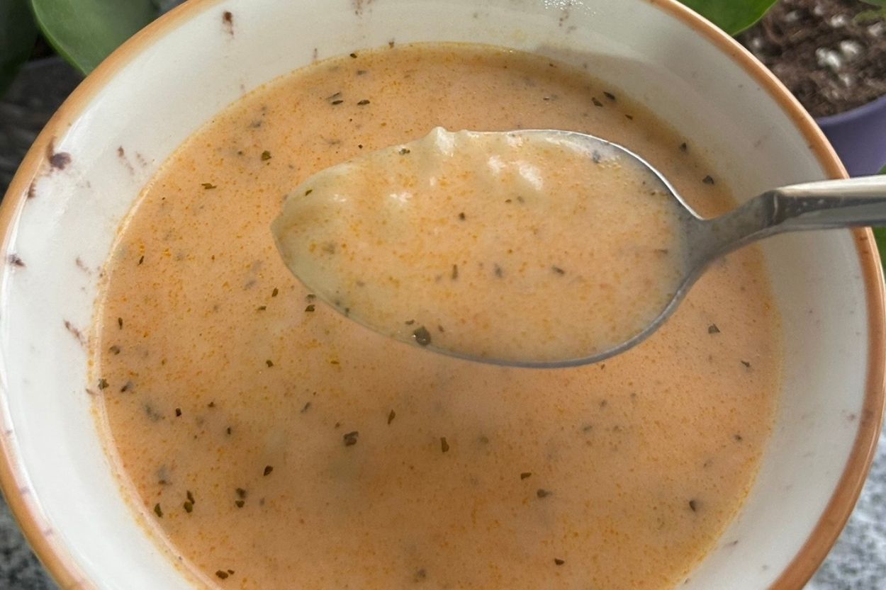 Terbiyeli Arpa Şehriye Çorbası Tarifi