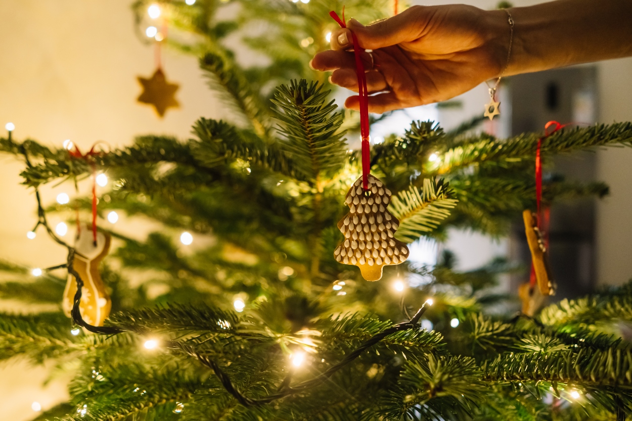 Yılbaşı Ağacı Nasıl Süslenir?