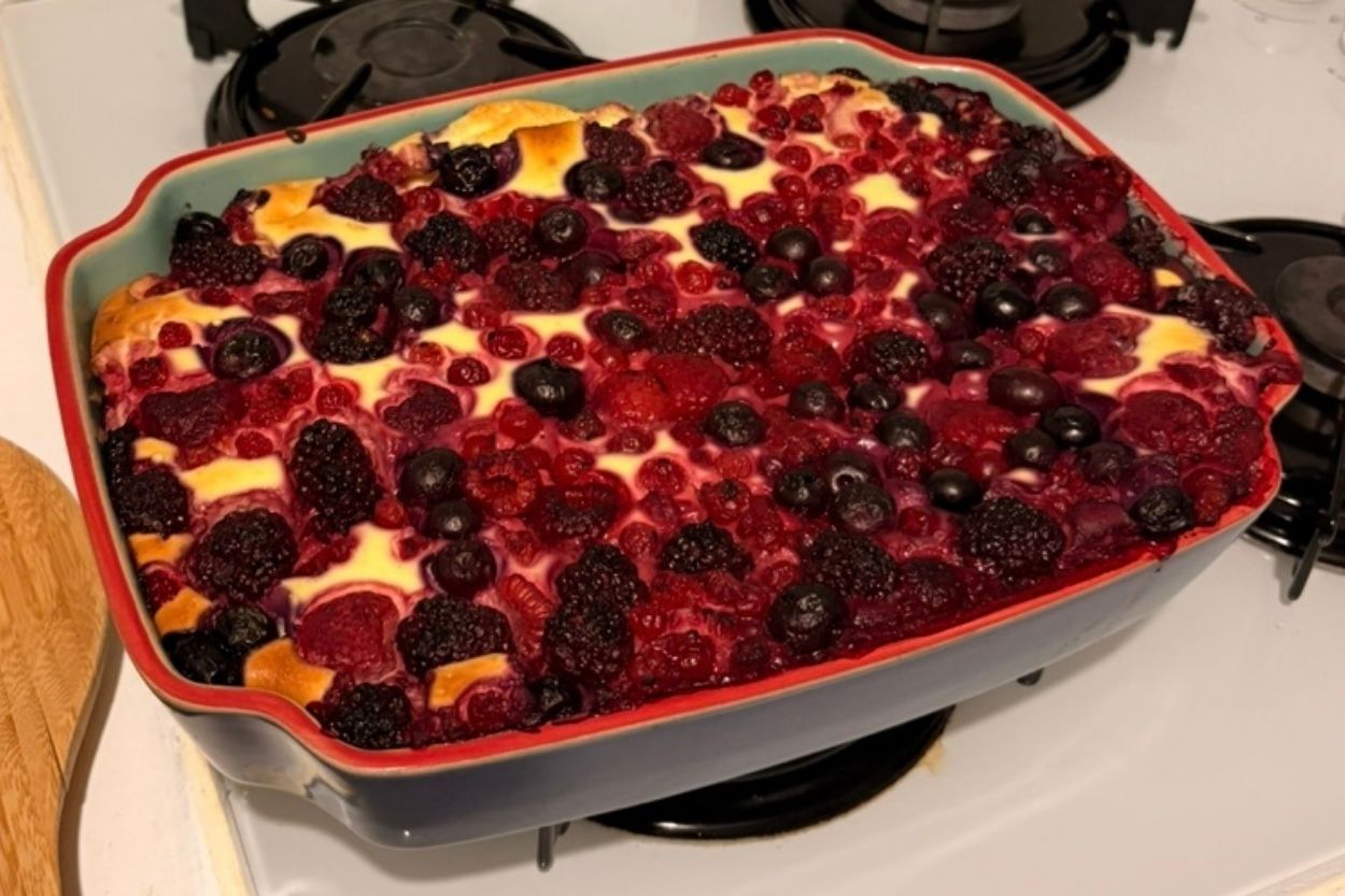 Orman Meyveli Fit Cheesecake Tarifi