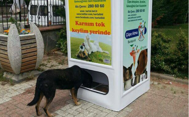İlgili resim