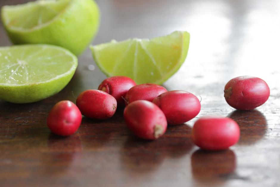 meyve miracle berry