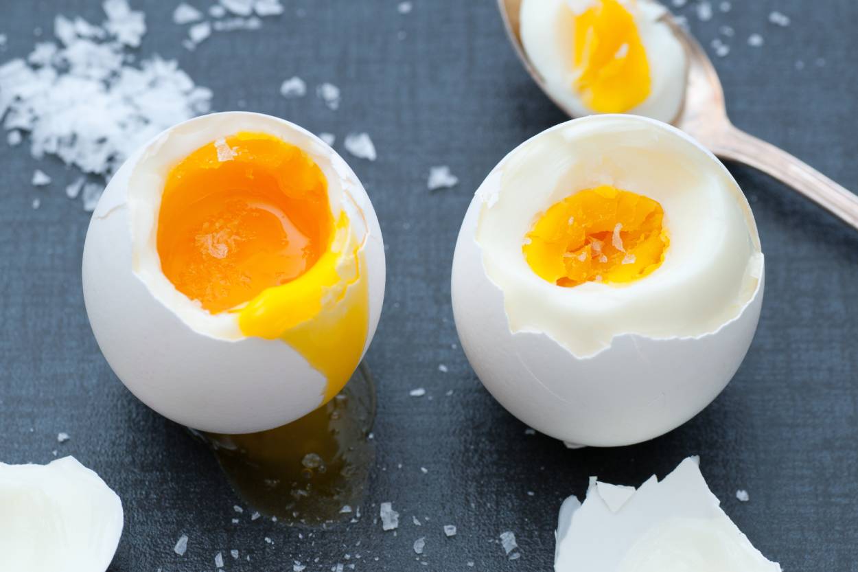 rafadan-normal-yumurta-patlak