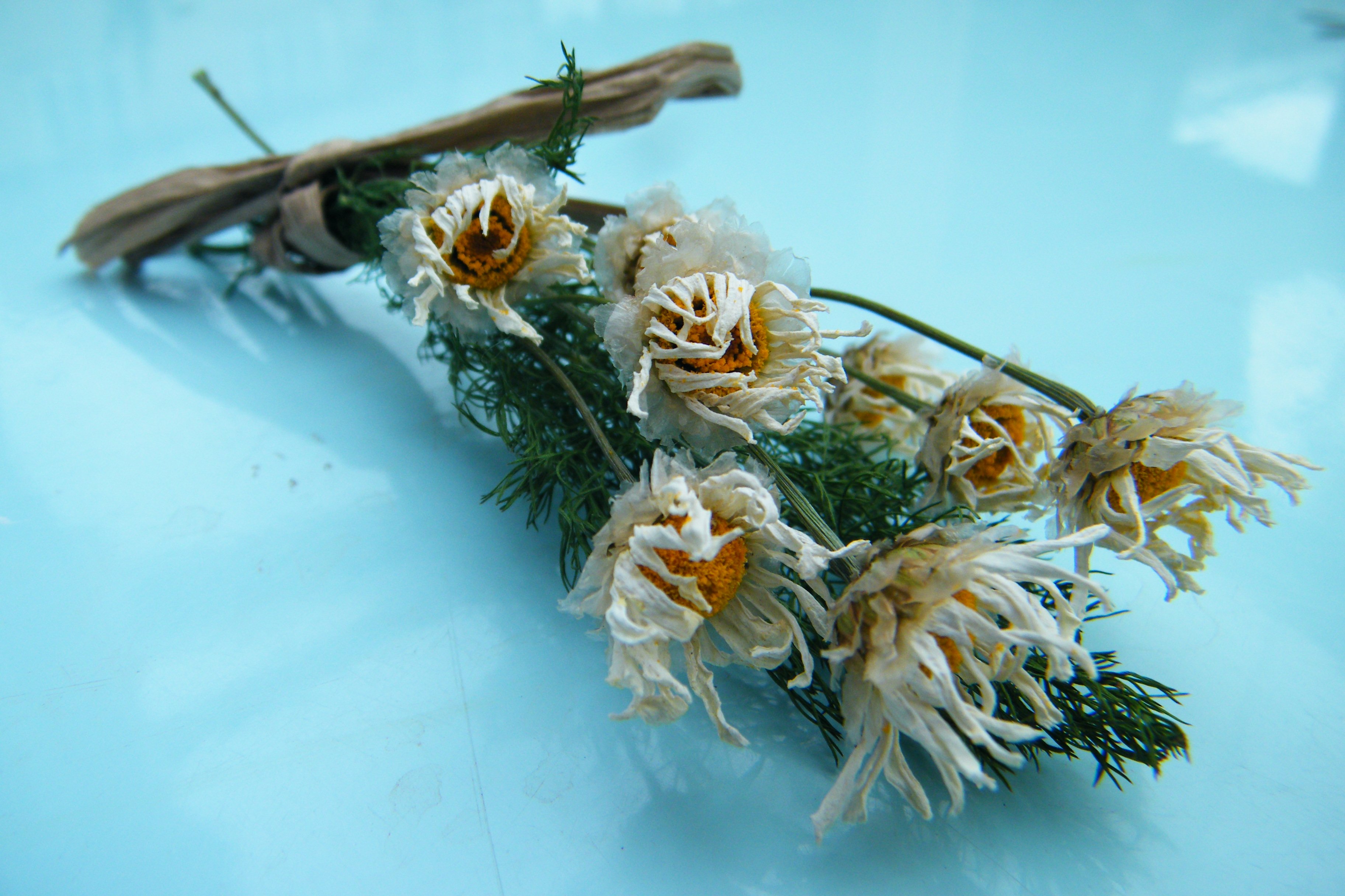 driedflowercraft