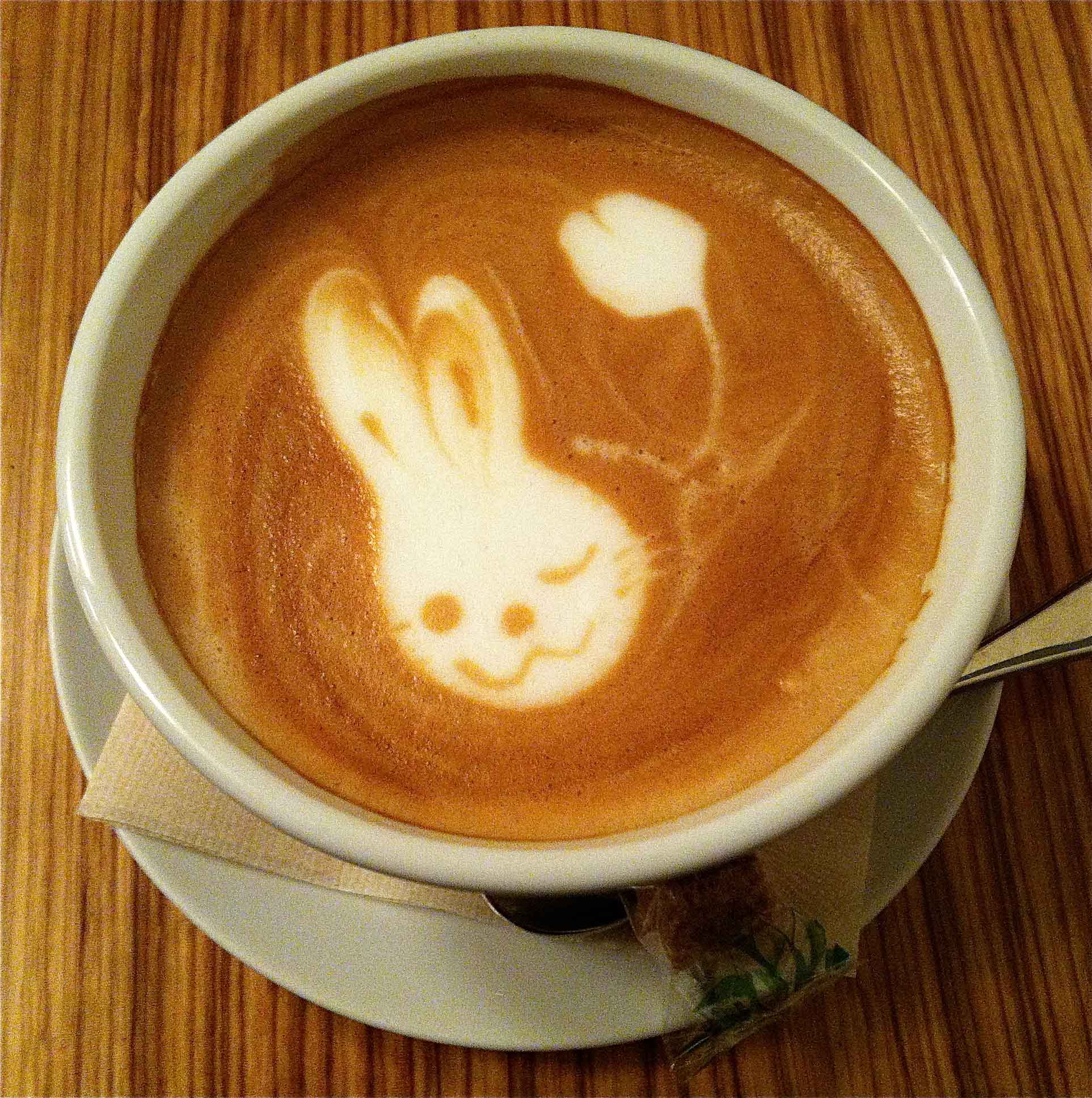 jonellepatrick - en güzel latte artlar