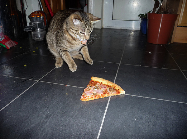 kedi-ziplama-pizza