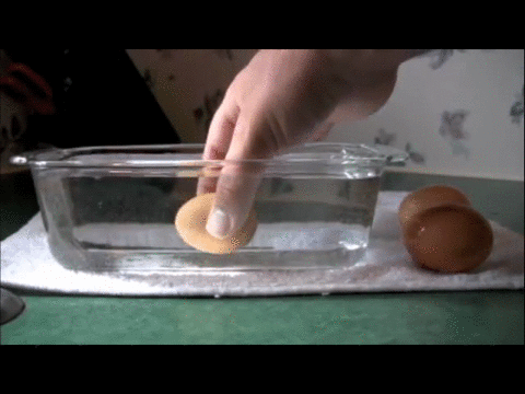yumurta-tazelik-testi-3