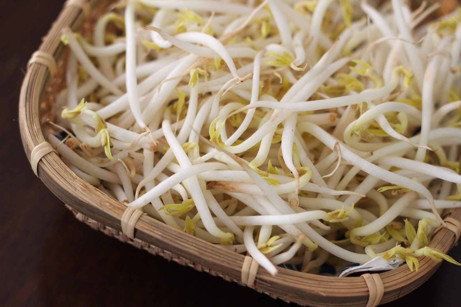 soya filizi