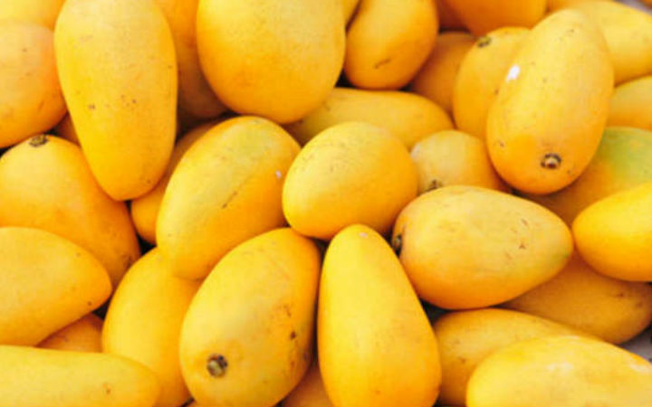 mango meyvesi
