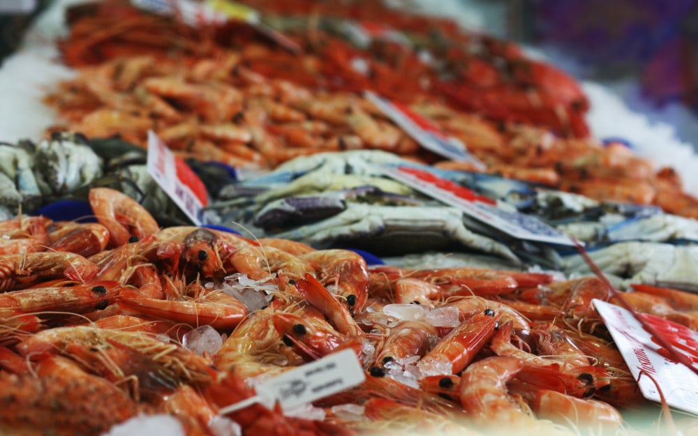 sydney-fish-market