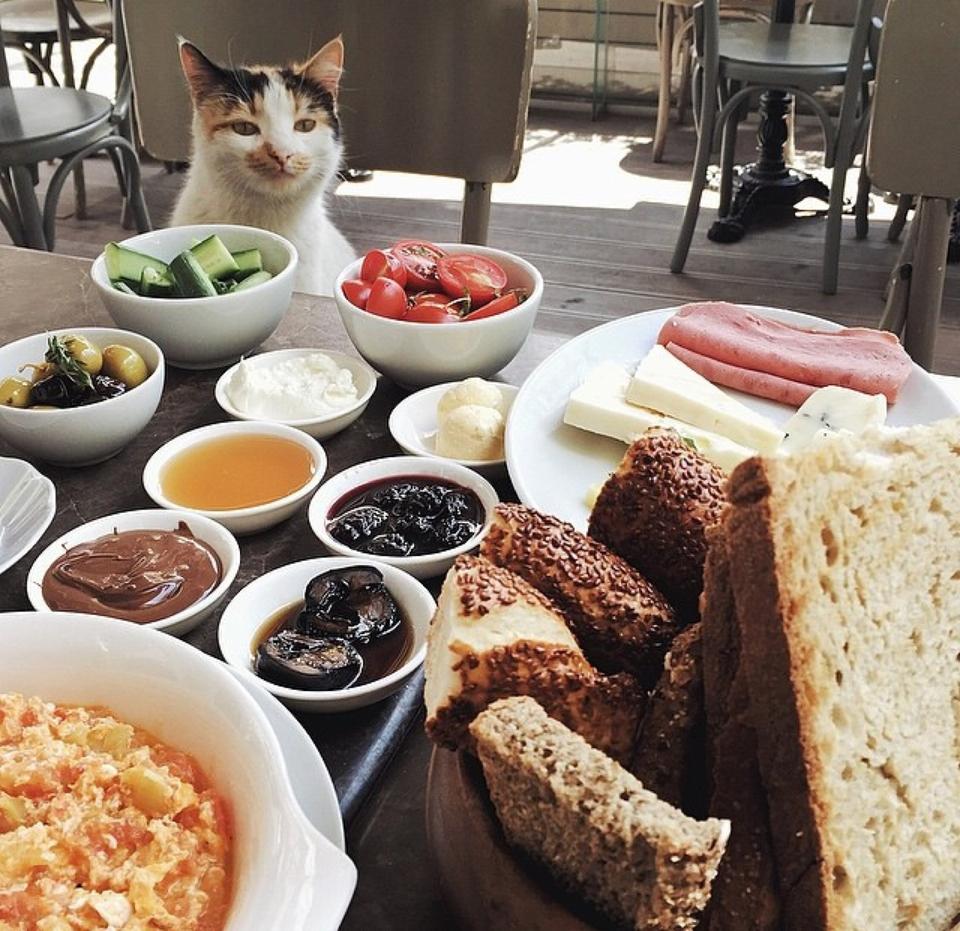 Delicatessen Nişantaşı ve Tatlı Aşkı Delicatessen Nişantaşı ve Tatlı Aşkı