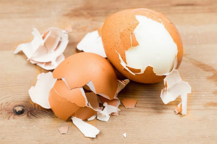 Yumurta Kabuklarını Asla Çöpe Atmamanız Gerektiğinin 11 Kullanışlı Kanıtı -  Yemek.com