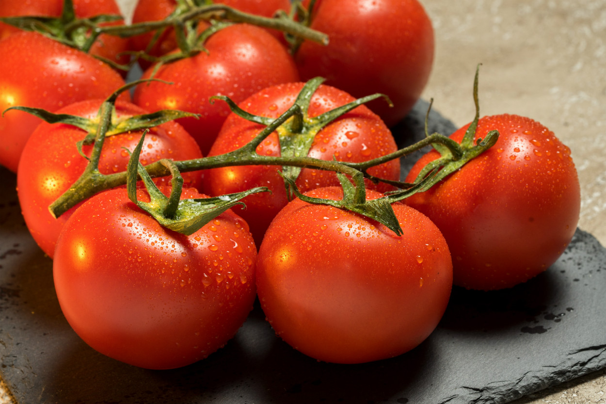 yüksek tansiyona karşı domates)