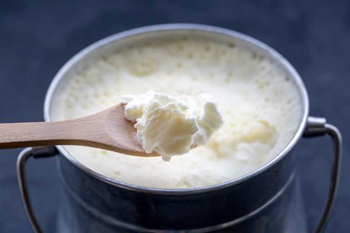 yogurt-kac-kalori-shutter-3