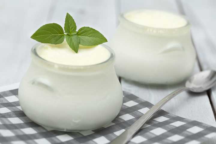 yogurt-kac-kalori-shutter-9