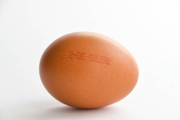 Yumurta Kodları