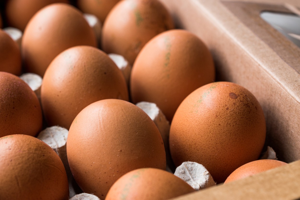 Yumurta Kodları Ne Anlama Geliyor
