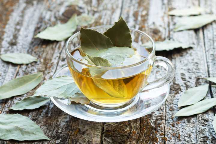 Defne yaprağı çayı nasıl kullanılır?