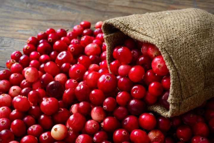 Turna (Cranberry) yemişi nedir?