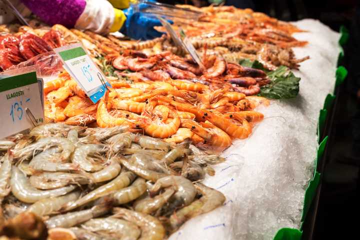 Balık dışındaki deniz ürünleri ve özellikleri