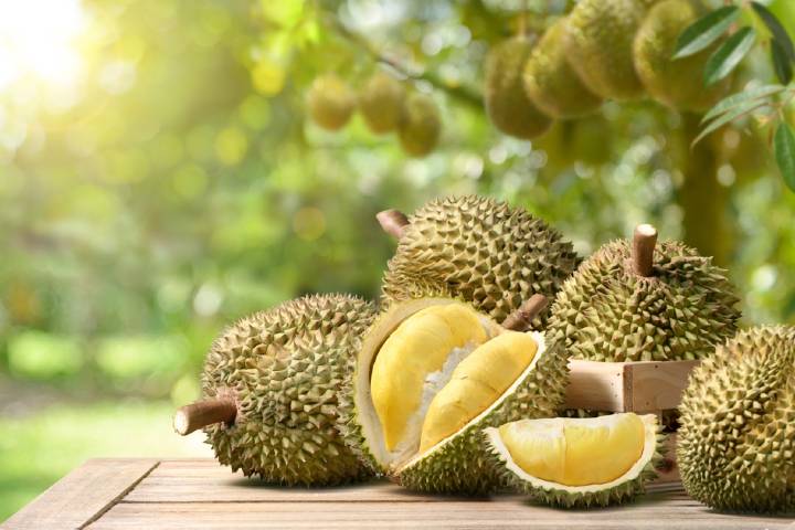Durian